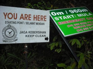 DSCF7544 Start here!